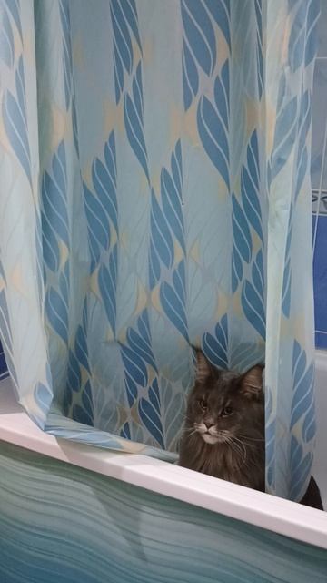 Разбойница