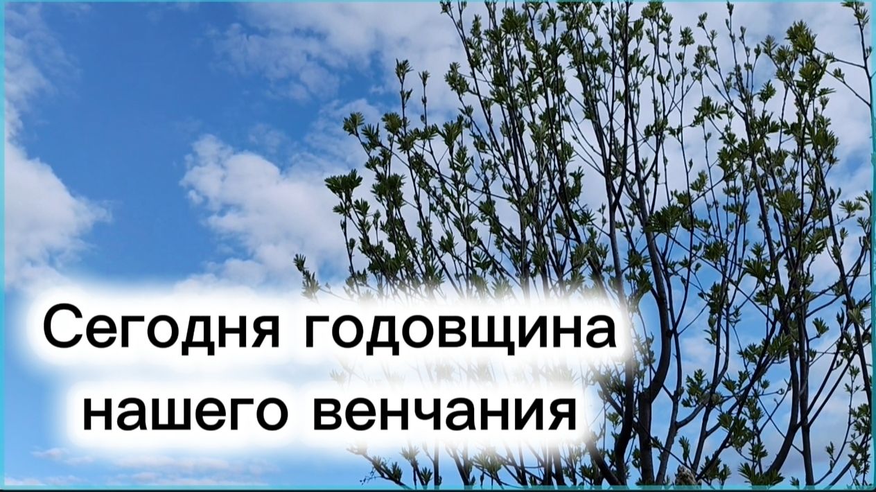 Сегодня годовщина нашего венчания...