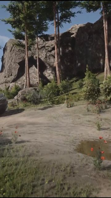 У СВИНЕЙ ЕСТЬ ЯЙЦА