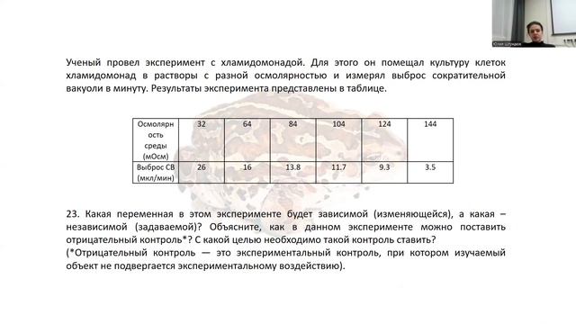 Простейшие