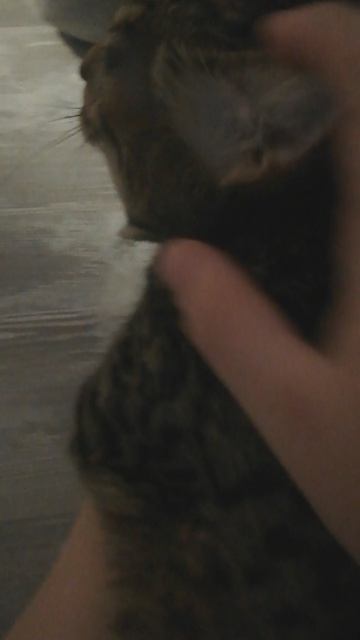 MOV_20260413_152754_686.mp4