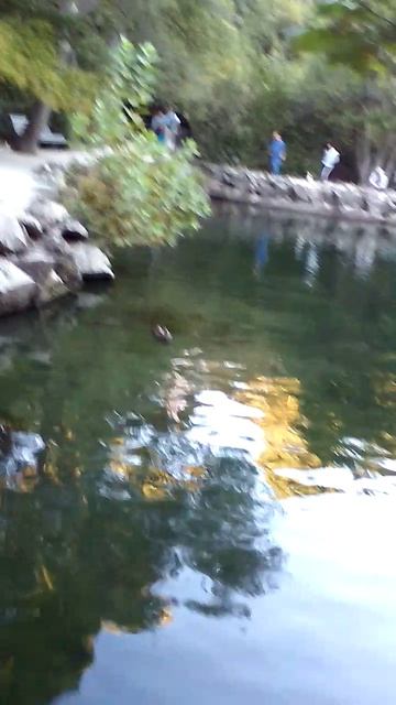 94)D ВОРОНЦОВЫЙ ДВОРЕЦ НАРУЖУ ТЕРРИТОРИЯ