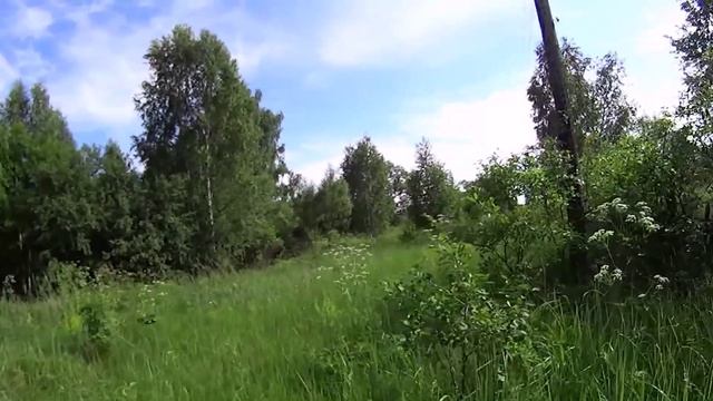 Где-то звонко играет гармошка