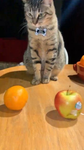 Кино и Сериалы