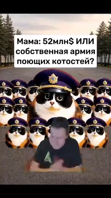 Это уже кошачие войска #юмор #милота #котость