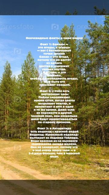 Неочевидные факты о мире вокруг!