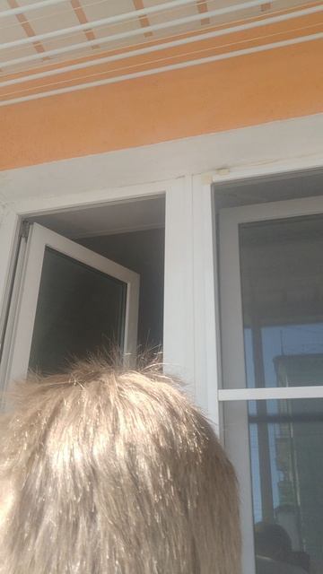 VID_20260422_103640.mp4