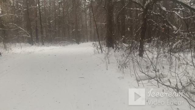 Любовь к жизни. Часть 2.