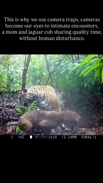 VID_20260421_214955_887.mp4