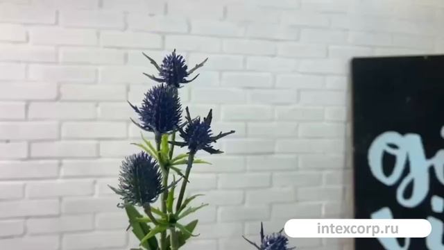 Декоративная ветка ЭРИНГИУМ СИНИЙЭ, 50 см, 215665-81