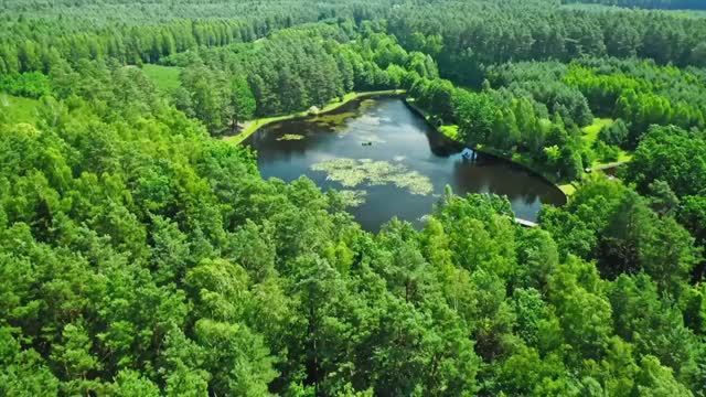 FISHING W_ GIANT LIVEBAIT FOR MONSTER FISH