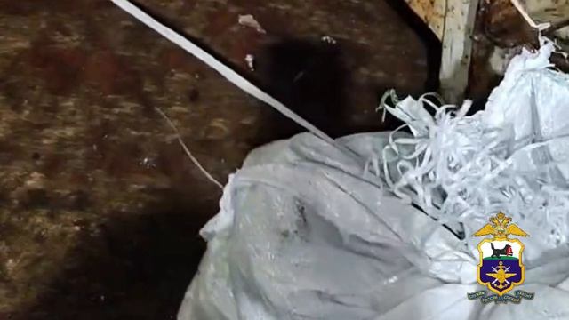 Более 1500 шт голомянки.mp4