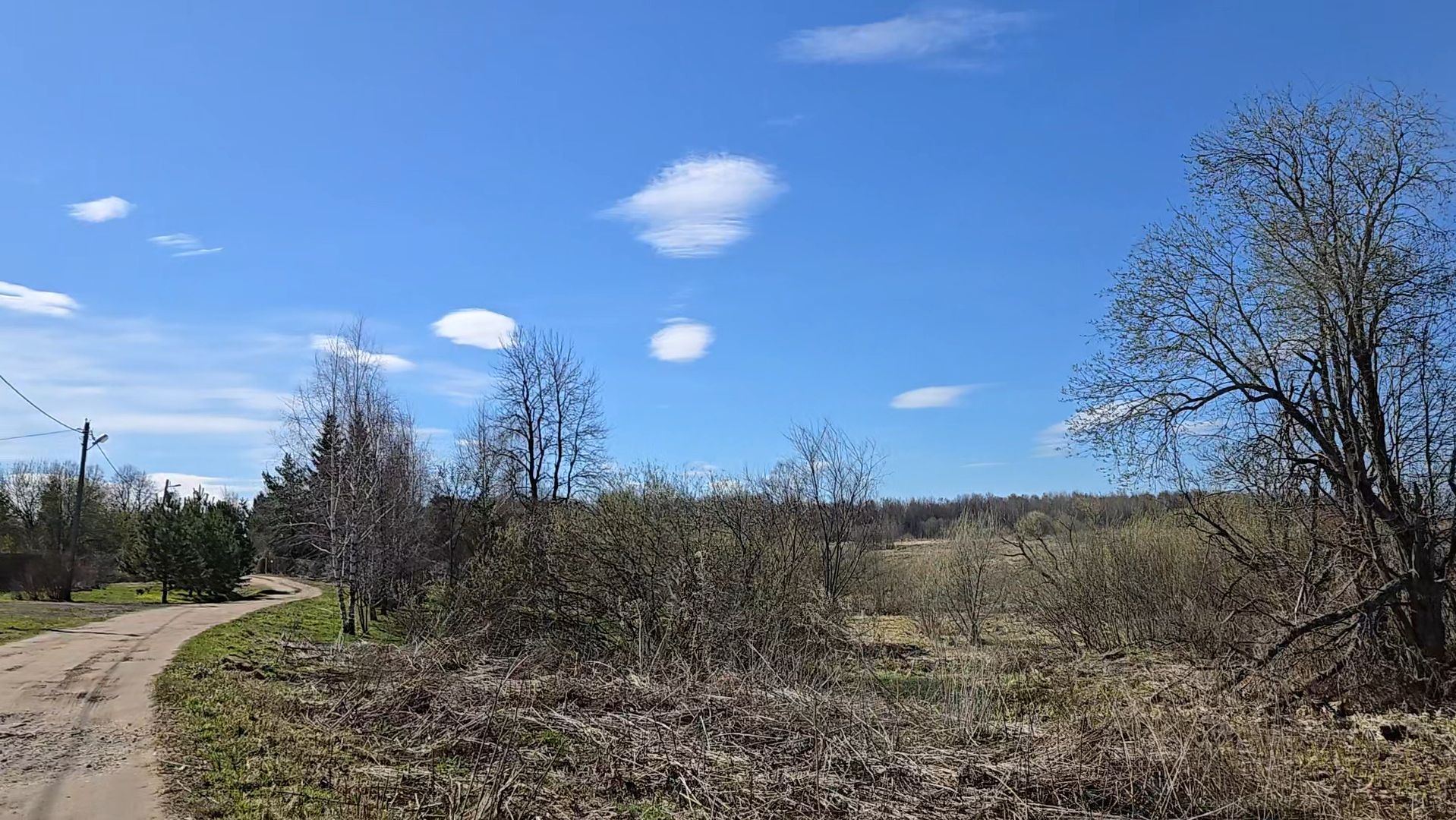 Бонус за уборку, удачный эксперимент и новая клумбочка