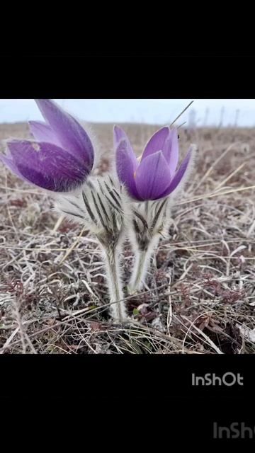 8 марта 2024 г.