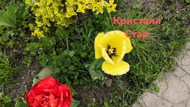 Весна не балует теплом...