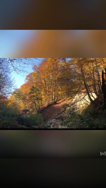 Село Беной Чечня