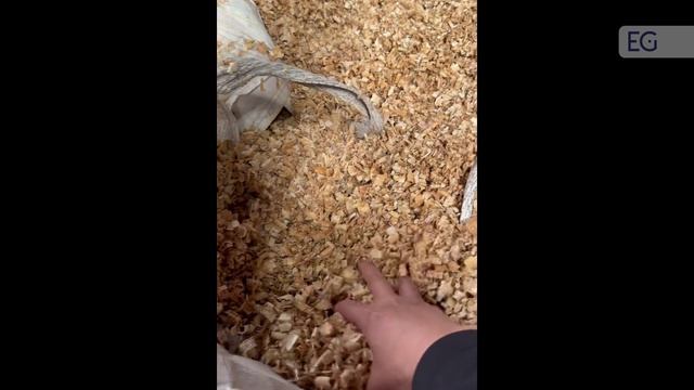 Станок для изготовления древесной стружки ZZ2512-6