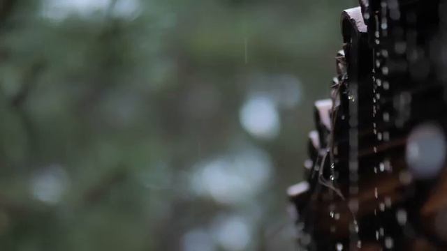 Оставлю всё  из-за любви   Лирические песни