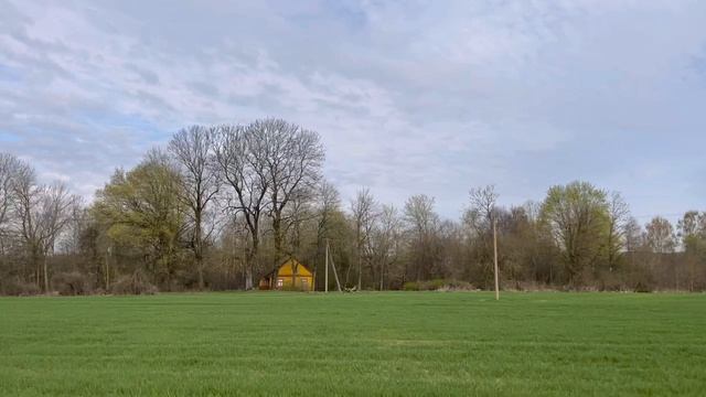 Дорога в апреле. Беларусь 2026