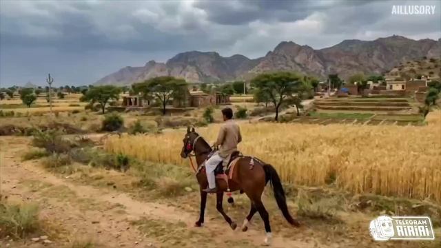 RED DEAD REDEMPTION INDIA игра обзор графики и сюжета