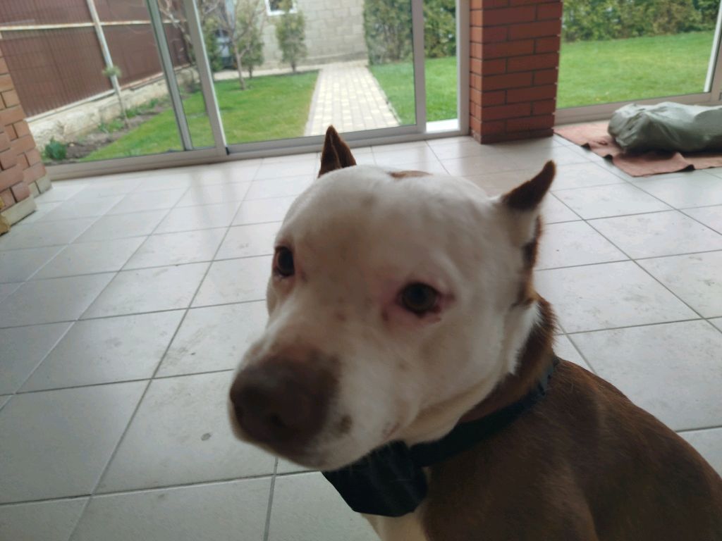 играем с другом в brawl stars