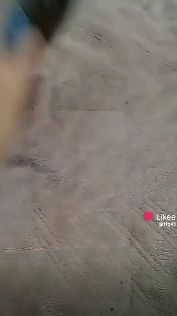 80aac2fe-ffcc-45c2-a5d4-2b5513923cbc-1_all_234.mp4