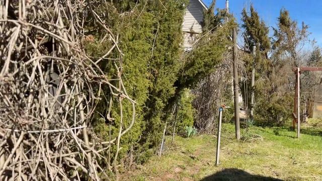 Дача в снт Выстовочное