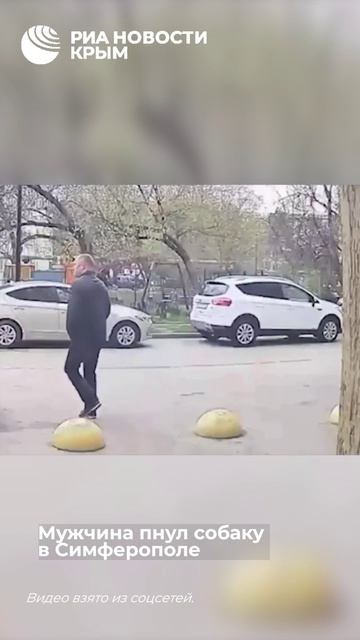 Мужчина со всей силы пнул собаку на глазах у людей – хулигана ищет полиция.