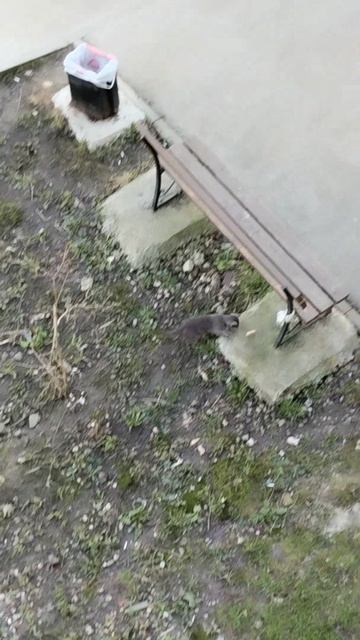 PXL_20260422_090413941