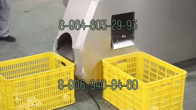 Машина для разделения цветной капусты и брокколи на соцветия