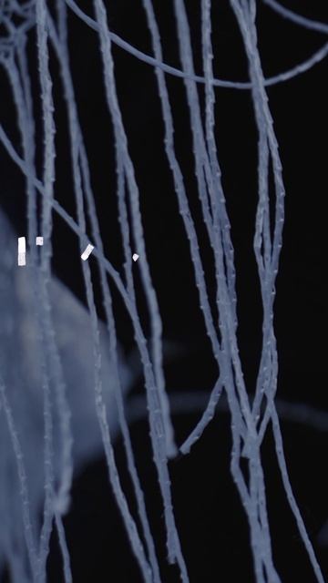 Настоящая. Вторая серия