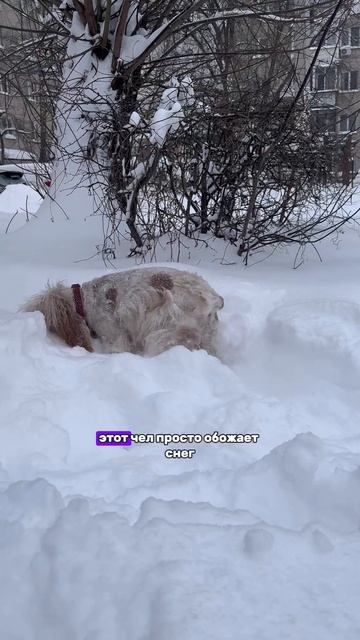 Зима или лето?🤪❤️