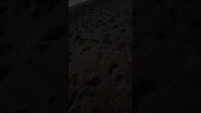 такая красота.mp4