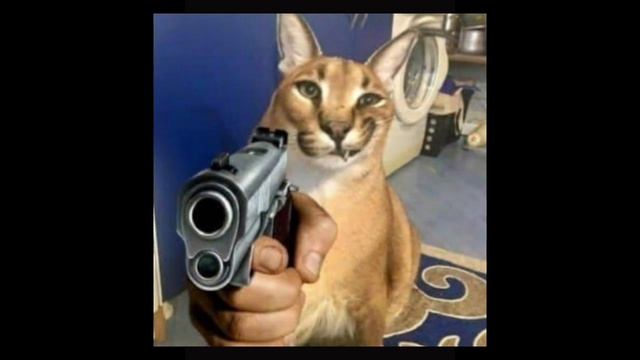 Бессмысленное Видео