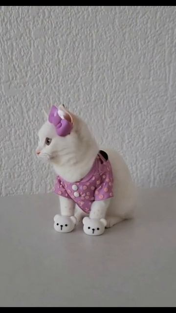 Hello Kitty в реальной жизни