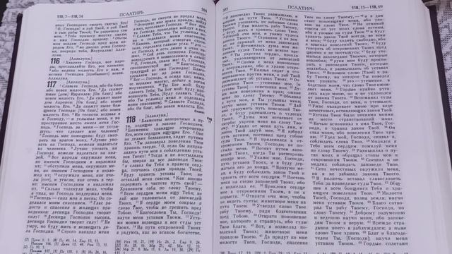 # День 169#  Пища для моего духа #  Псалтырь  гл. 118  (43-72) #