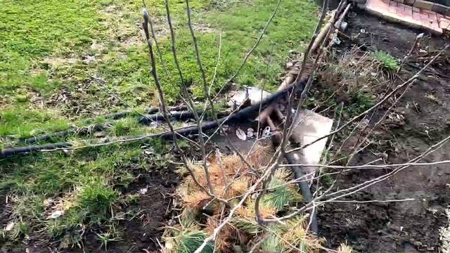 Участок 22 апреля