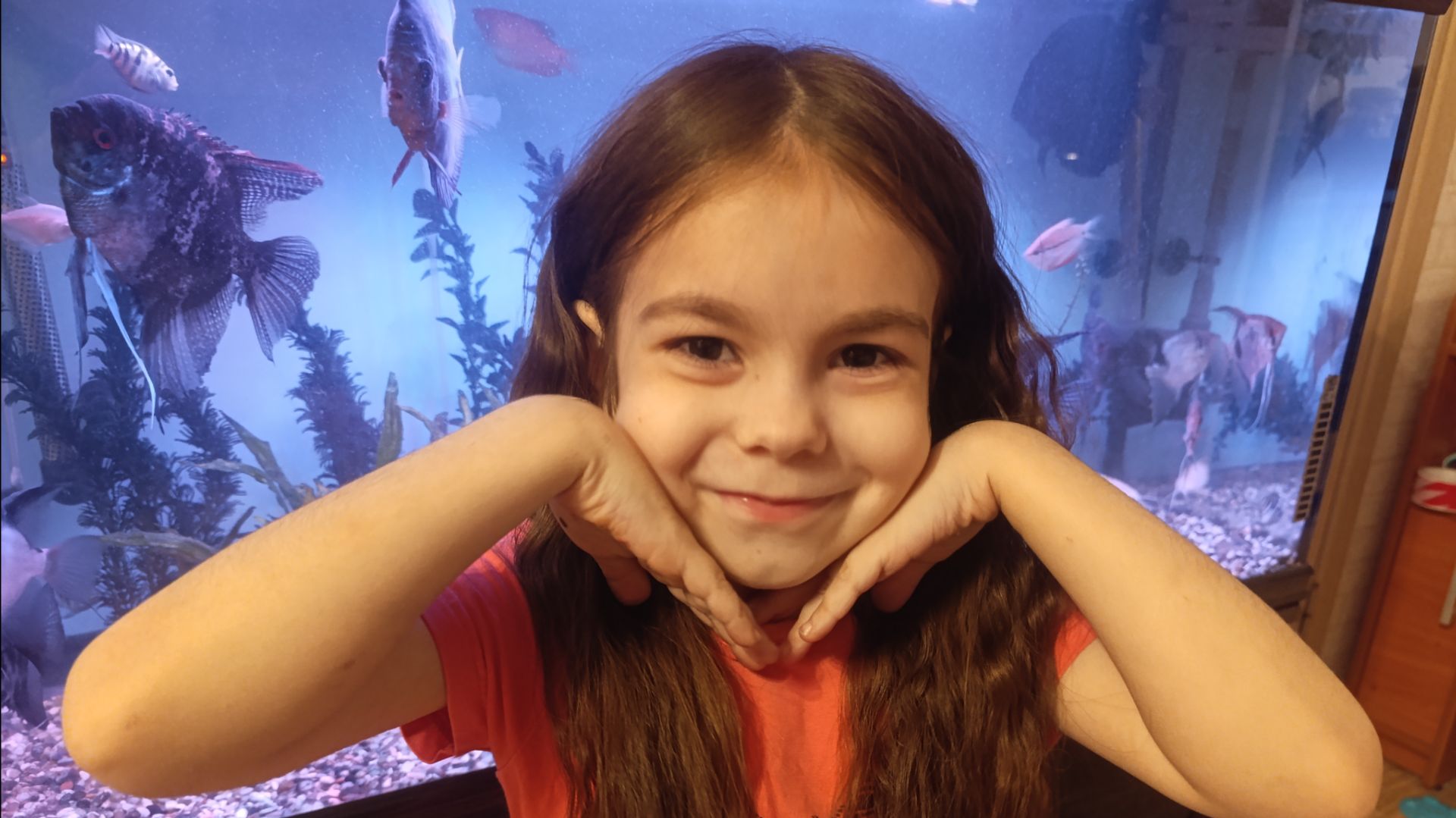 Маргоша лайк и хомяк