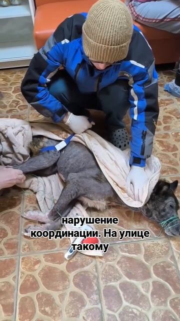 СРОЧНО!!! 
Друзья, очень нужна финансовая помощь!!!🆘🆘🆘
18 февраля- это второй день рождения для у