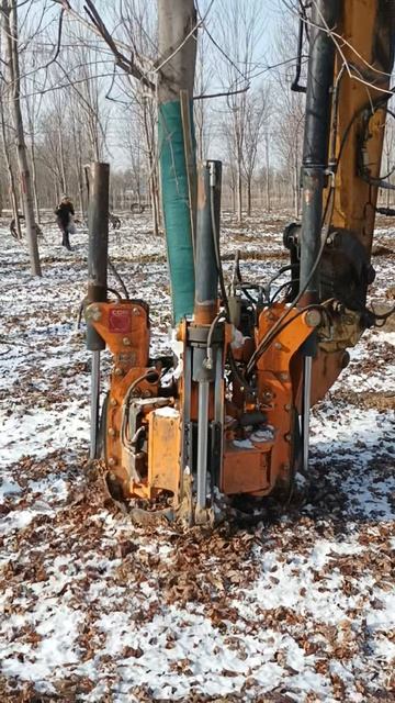 Работает пересадчик деревьев серии С-4