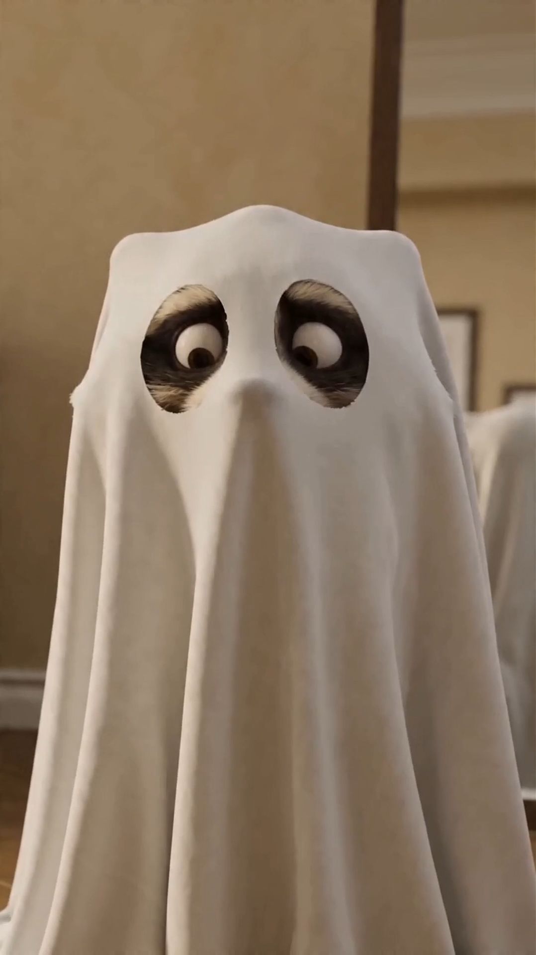 Енот и привидение!