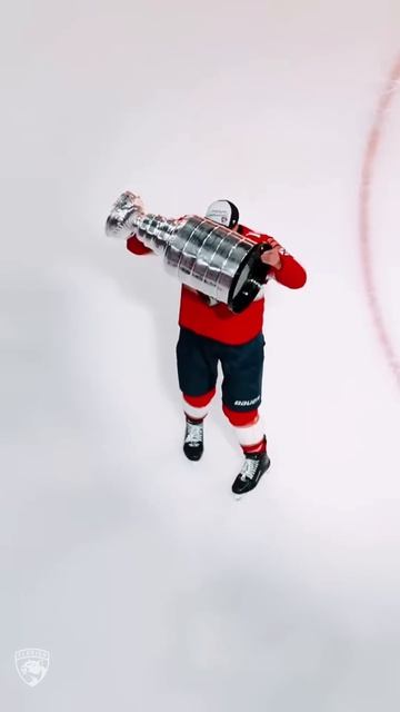 A historic year (again)