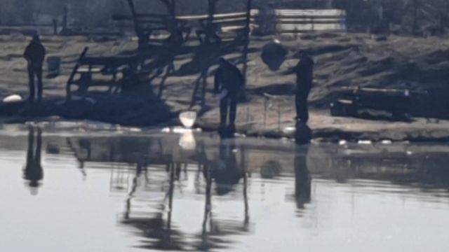 поимка форели на фидер