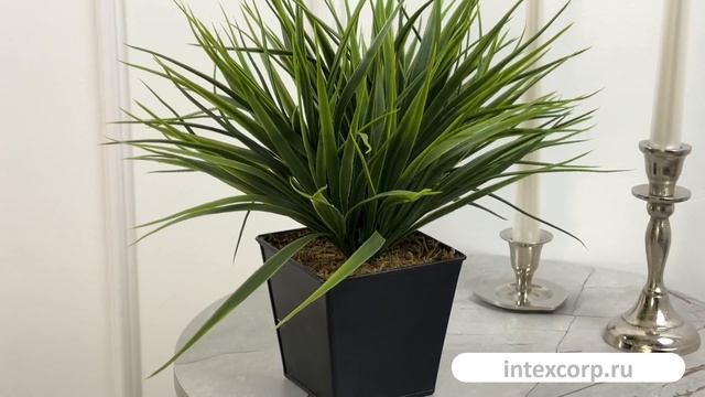 Искусственное растение ДЕКОРАТИВНАЯ ТРАВА, в горшке, пластик, 12 см, 3976600-4