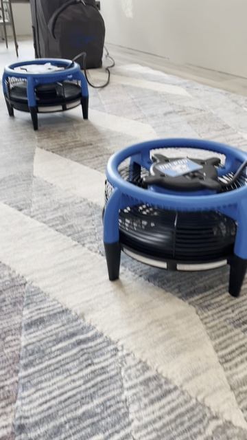 Химчистка ковров на дому заказчика Чистый вид # химчистка мебели краснодар