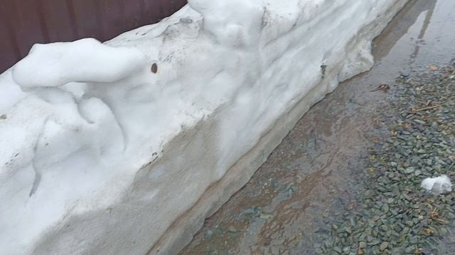 У Василича новая покупочка / Беда нас затопило полностью водой