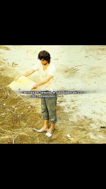 фильм на вечер