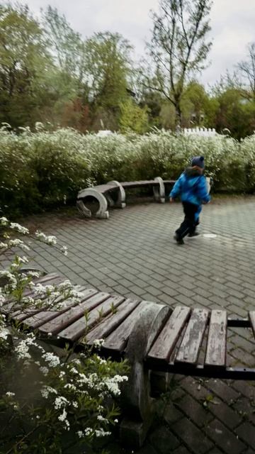 Идея для детской фотосессии в кустах