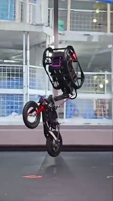 video_2026-02-22_15-34-29