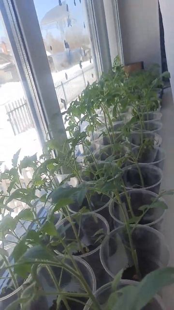 22 апреля 2026